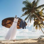 wedding-dress-and-groom-39-s-suit-island-palm-t-2022-02-15-17-28-52-utc.jpg